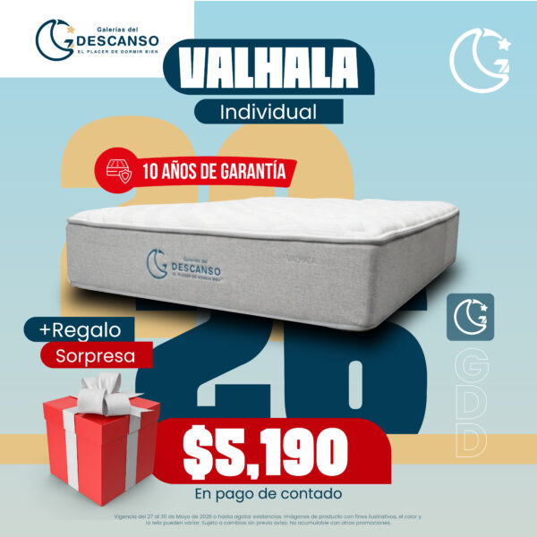 CarruselJunio-07