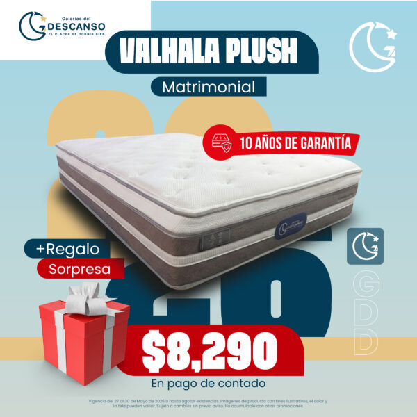 CarruselJunio-08